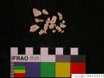 L_V22d6557 A16q330.1 T926 dM sh f129